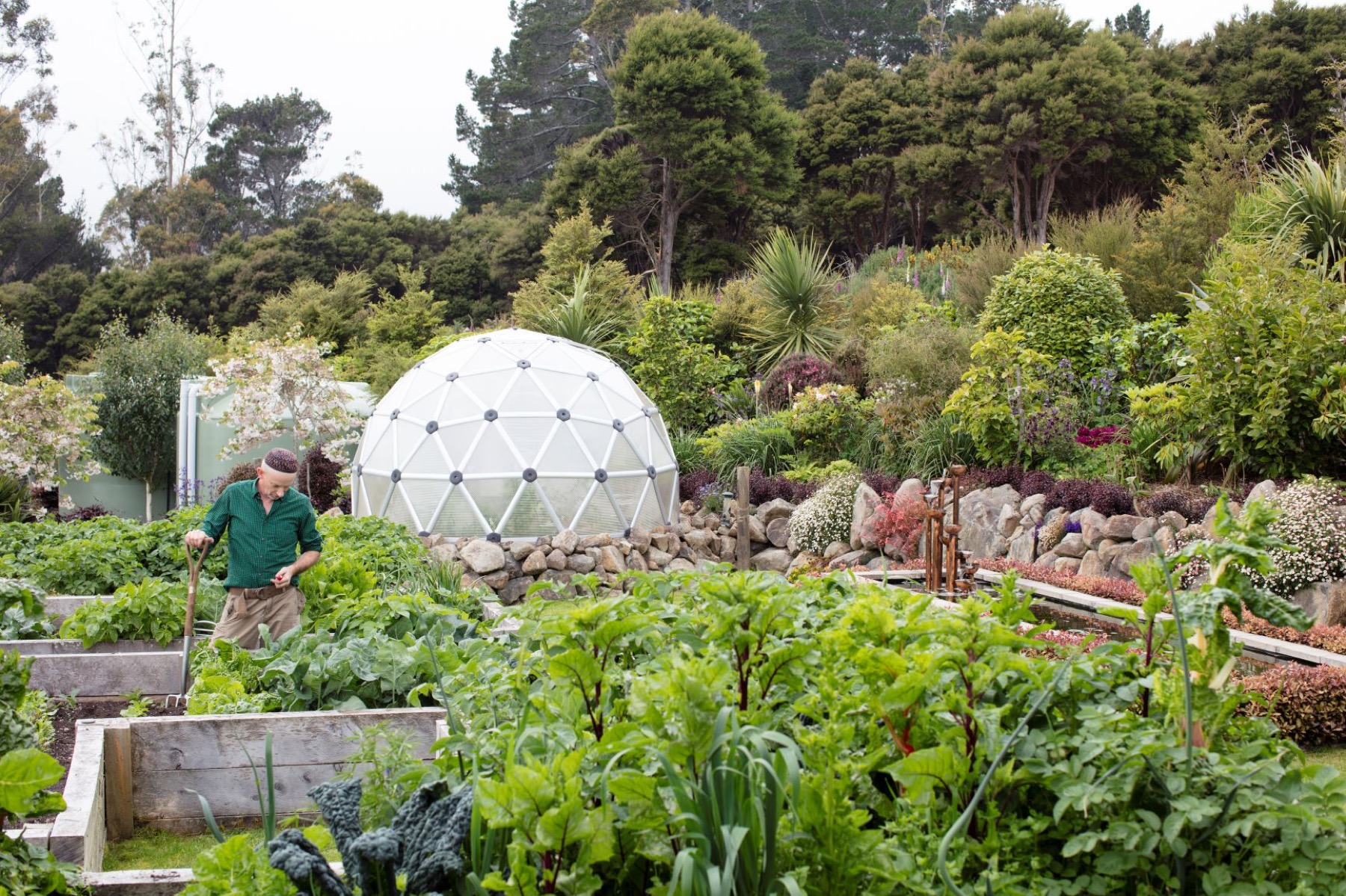 A thriving community garden