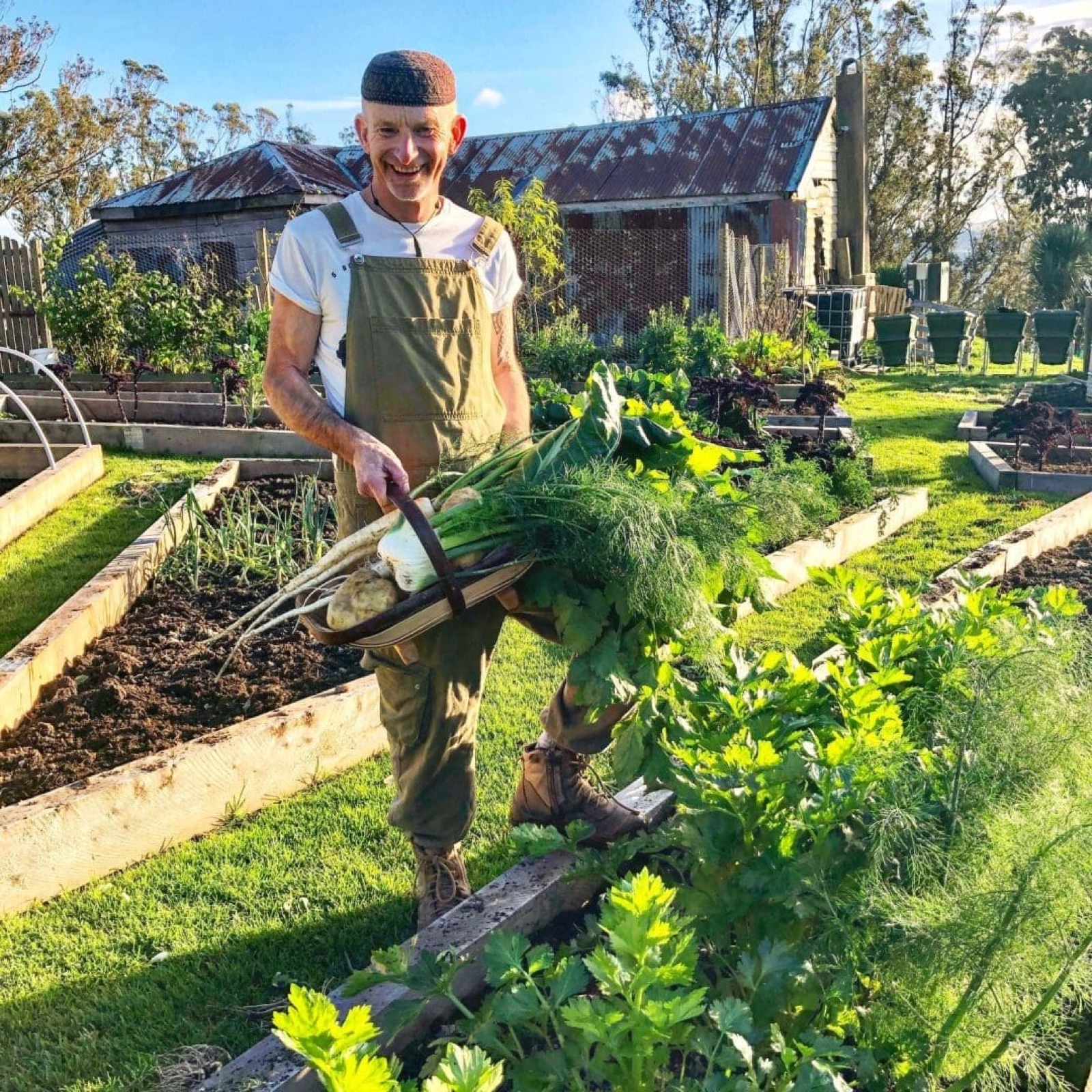 Heritage vegetable seeds and produce