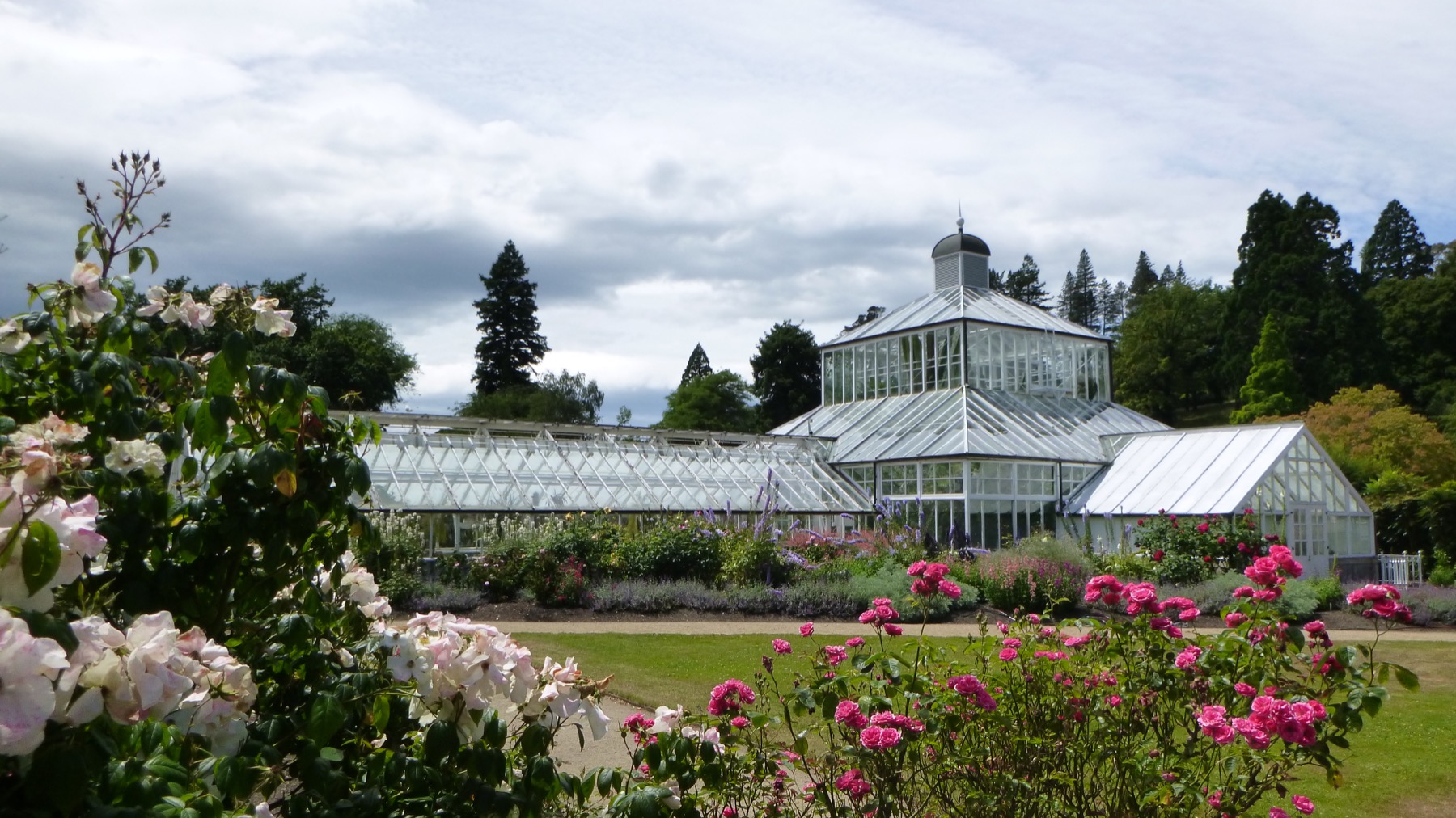 The Winter Garden glasshouse behind a bed of roses