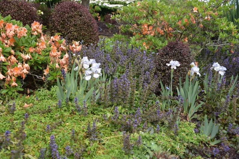 Stoneleigh Creek Garden