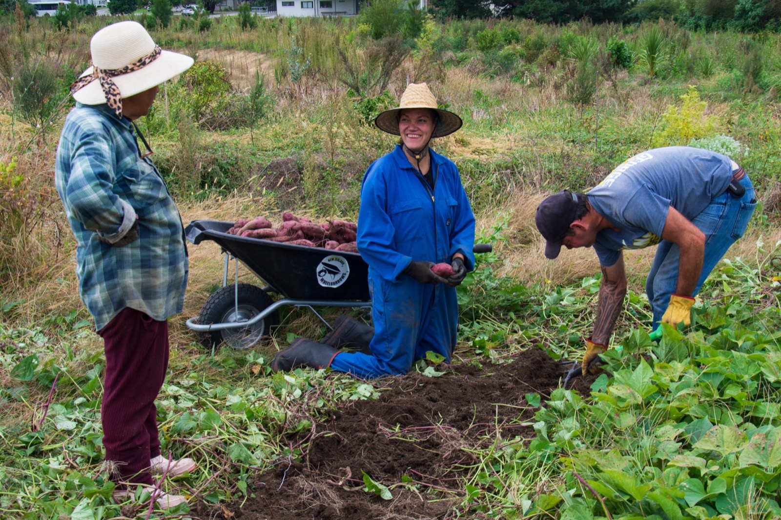 Volunteers working together at a community harvest